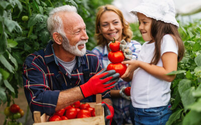 How to Transfer Your Business to a Family Member