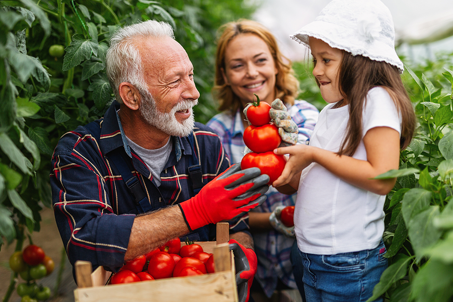 A heartwarming image portraying the transfer of a business to a family member, reflecting Meritus Group's expertise in facilitating such transitions.